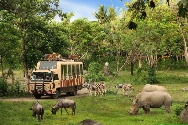 Phu Quoc Tour in 6 Days - photo 2